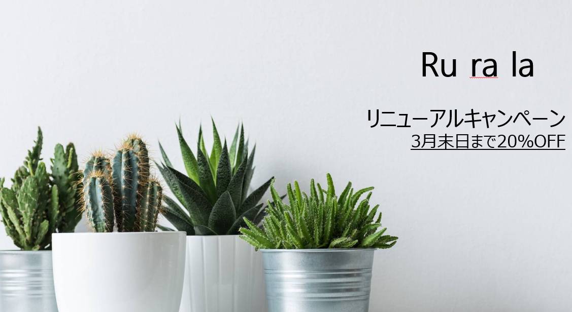 リニューアルキャンペーン